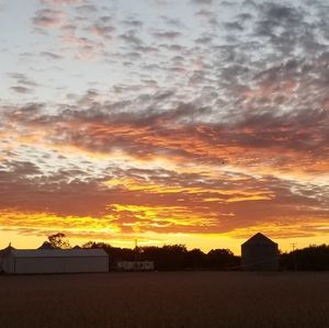 Meet your Posher, Kerri